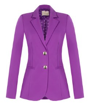 Blazer iris